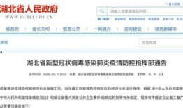 湖北爆料最新,揭秘神秘事件背后的真相