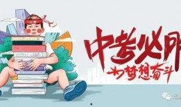 哈尔滨租车最新爆料信息,探秘冰雪之城出行新选择