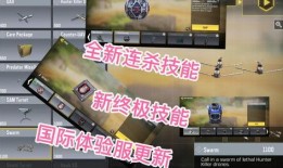 国际体验服最新爆料,揭秘游戏新内容与玩法革新